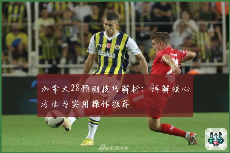 加拿大28预测技巧解析：详解核心方法与实用操作推荐