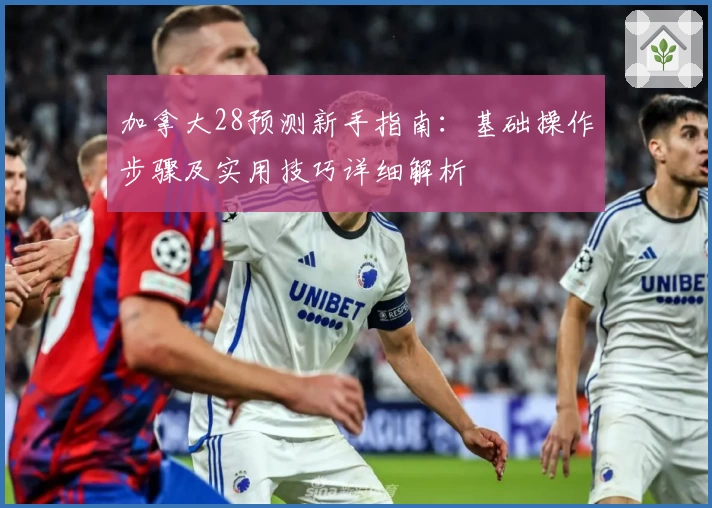 加拿大28预测新手指南：基础操作步骤及实用技巧详细解析