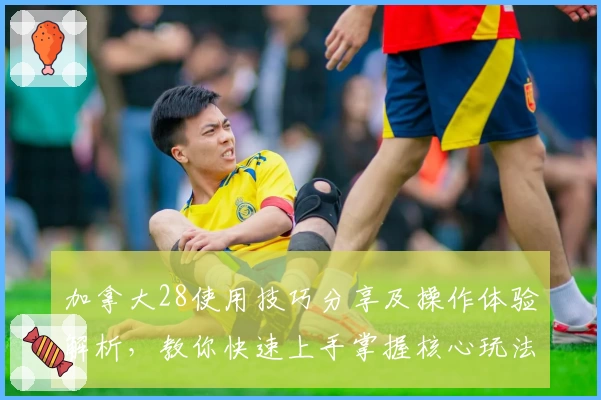 加拿大28使用技巧分享及操作体验解析，教你快速上手掌握核心玩法