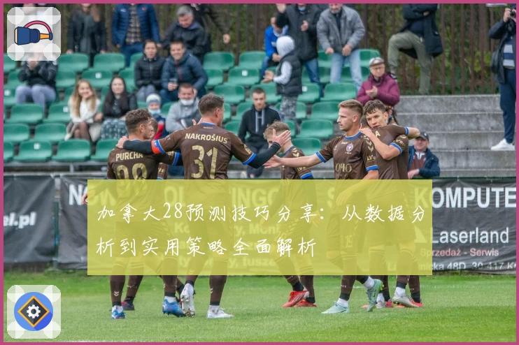 加拿大28预测技巧分享：从数据分析到实用策略全面解析