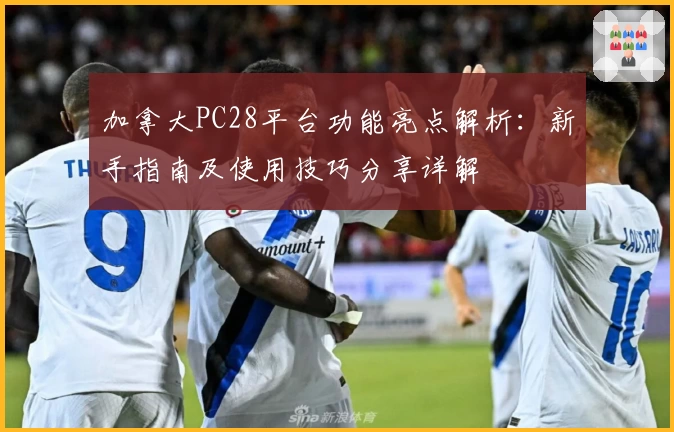 加拿大PC28平台功能亮点解析：新手指南及使用技巧分享详解