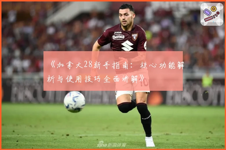 《加拿大28新手指南：核心功能解析与使用技巧全面讲解》