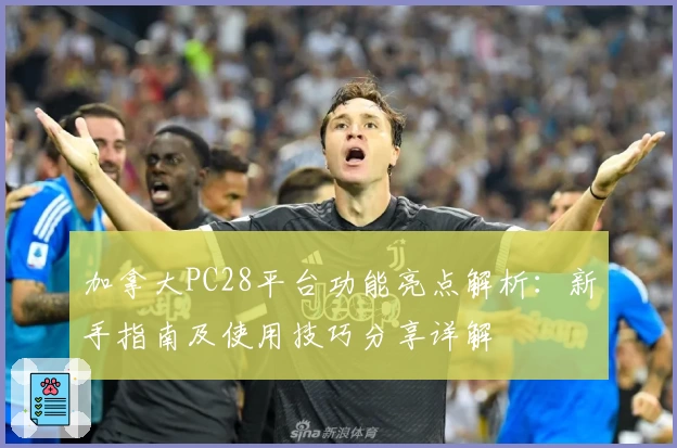 加拿大PC28平台功能亮点解析：新手指南及使用技巧分享详解