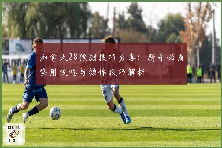 加拿大28预测技巧分享：新手必看实用攻略与操作技巧解析