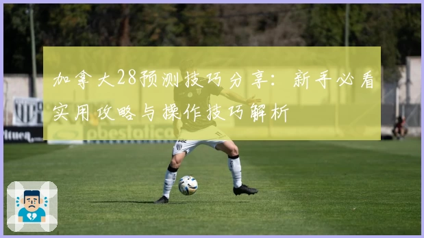 加拿大28预测技巧分享:新手必看实用攻略与操作技巧解析