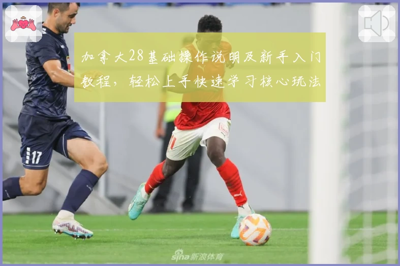 加拿大28基础操作说明及新手入门教程，轻松上手快速学习核心玩法