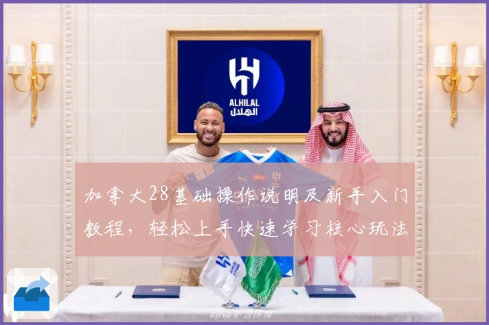 加拿大28基础操作说明及新手入门教程，轻松上手快速学习核心玩法