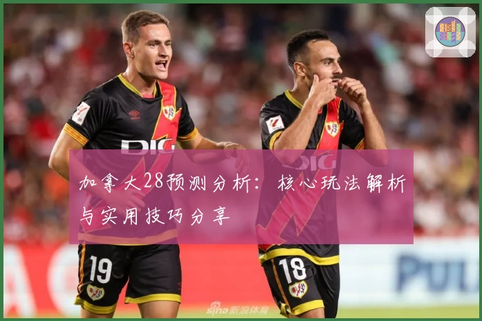 加拿大28预测分析：核心玩法解析与实用技巧分享
